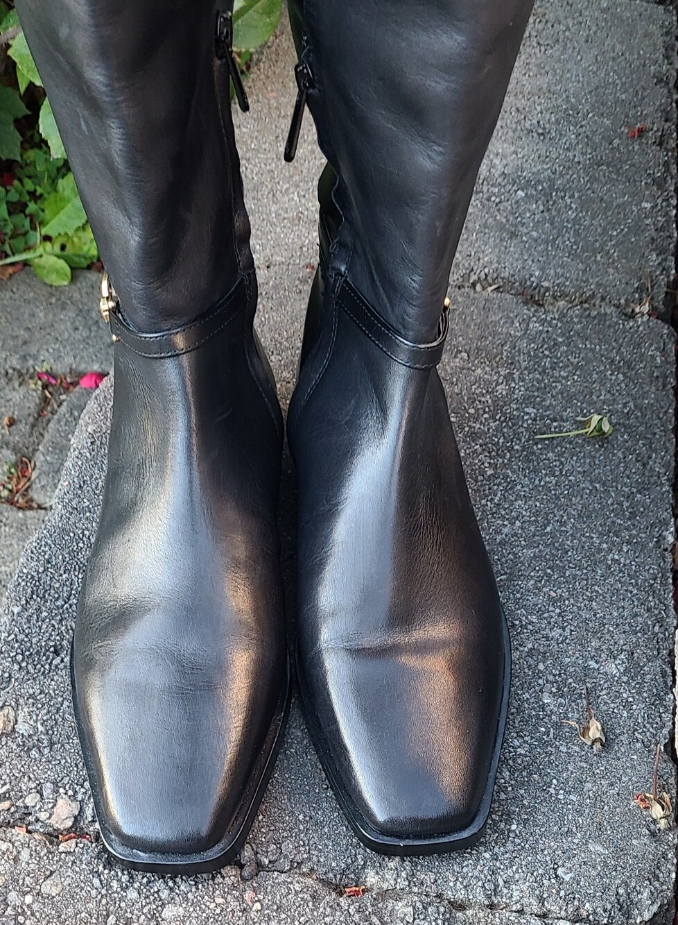 Sam Edelman Clive Boots-Embellished Riding Boot - Picture 10 of 13